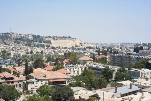 IMG_7487